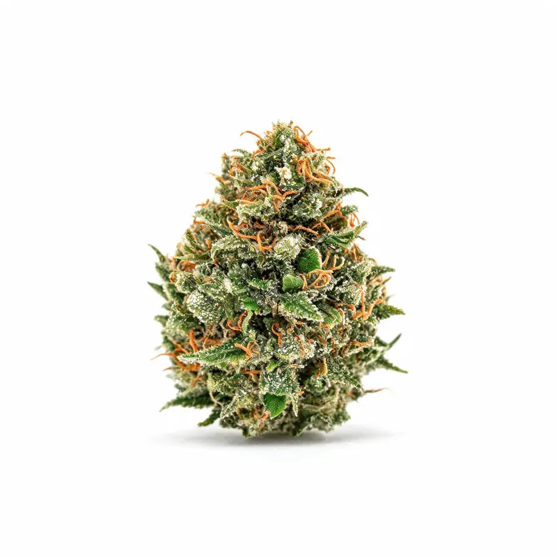 Upstate FGS Full Gas Smalls