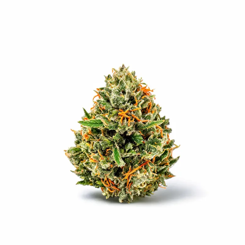 Aurora 22/1 Blue Dream