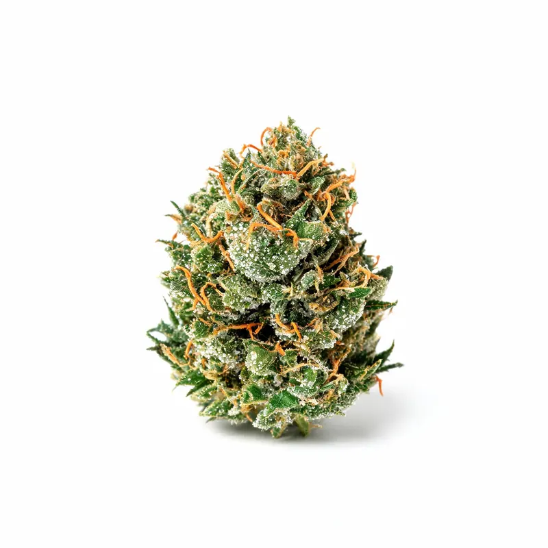 Aurora 19/1 OG Kush