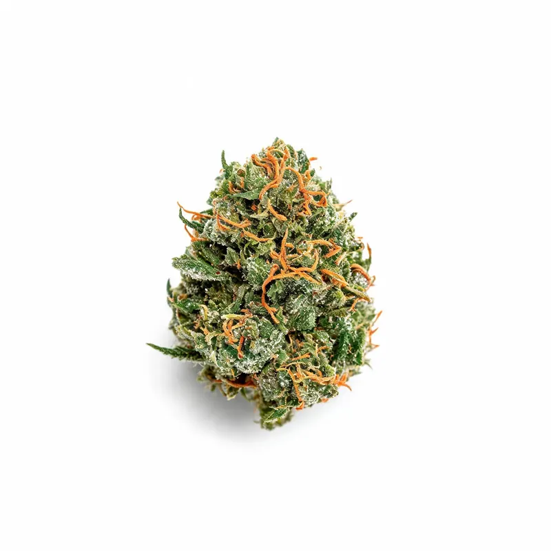 Bedrocan medical cannabis strain